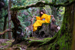 Japan_Autumn_2025 (13/47)